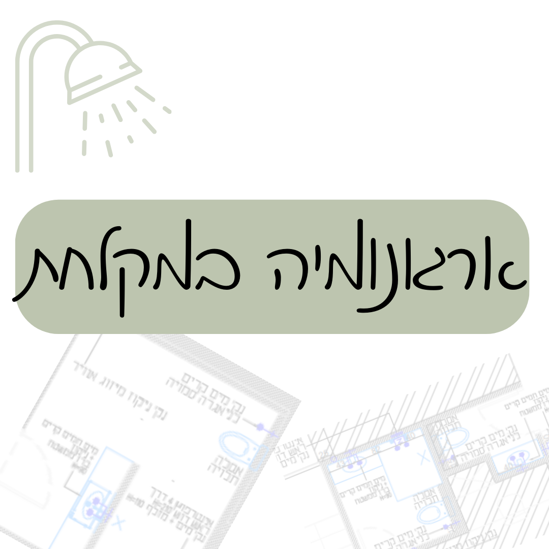 הסבר מקצועי איך מעצבת פנים צריכה לשרטט ולתכנן ארגונומיה במקלחת - בבלוג של לי לביא.